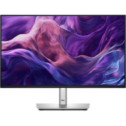Monitor ProfesionaL P2425HE