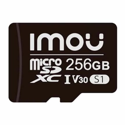 Micro SD 256 GB Class 10