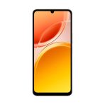 Celular Vivo Y11D 4GB RAM 256GB Plateado